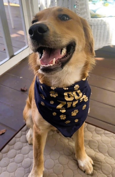 Pet Bandanas