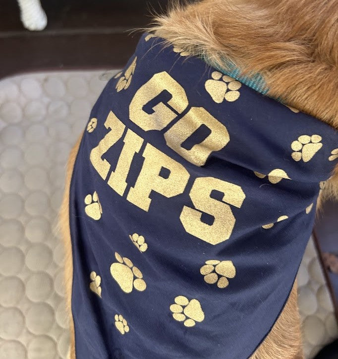 Pet Bandanas