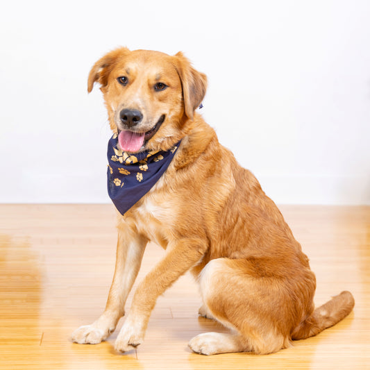 Pet Bandanas